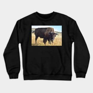 Bison Crewneck Sweatshirt